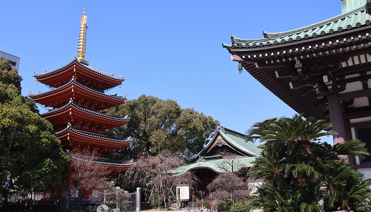 周辺の観光スポット