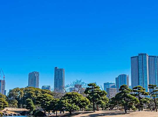 浜離宮恩賜庭園