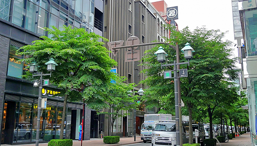 周辺の観光スポット