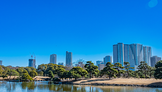 周辺の観光スポット