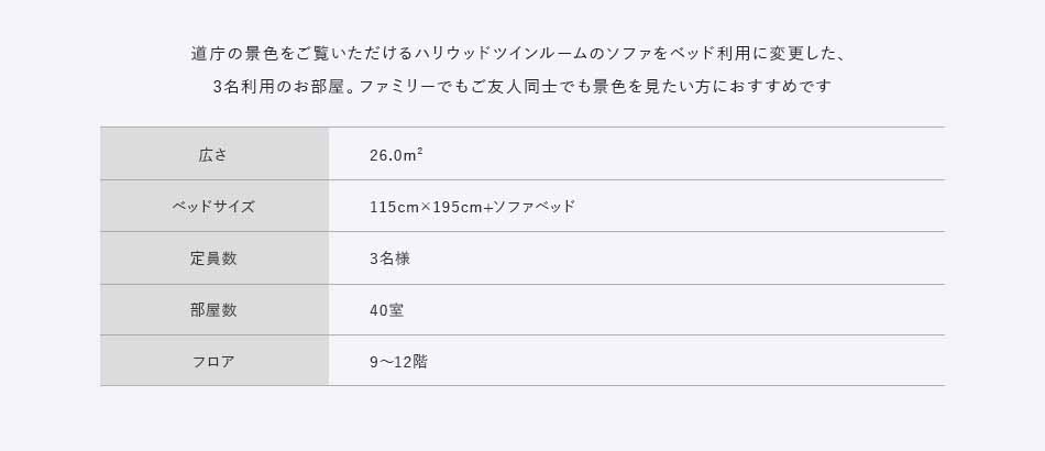 道庁の景色をご覧いただけるハリウッドツインルームのソファをベッド利用に変更した、3名利用のお部屋。ファミリーでもご友人同士でも景色を見たい方におすすめです