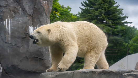 周辺の観光スポット